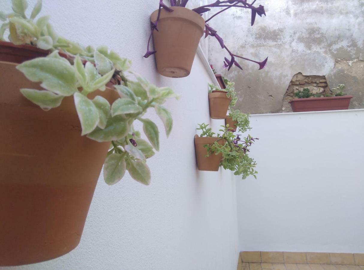 Apartamento Palo Cortao Jerez de la Frontera Esterno foto